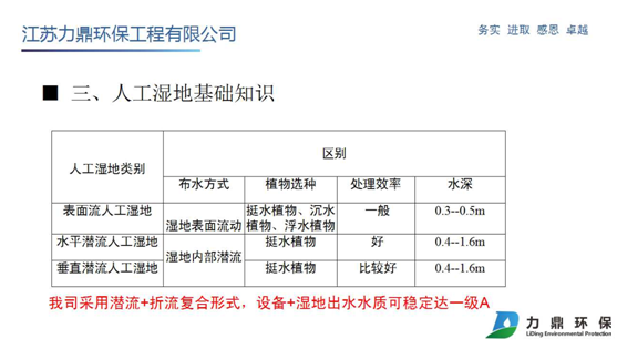 人工濕地基礎(chǔ)知識(shí)