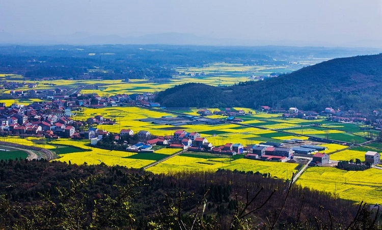 荊門農(nóng)村生活污水治理重點(diǎn)工程